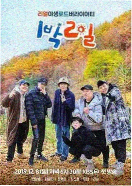 花儿与少年丝路季 小小影视大全